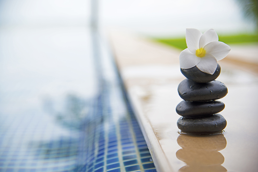 Tranquility scene of peaceful life