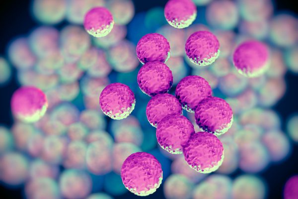 Krankenhauskeim MRSA – verbreitet, gefürchtet, vermeidbar