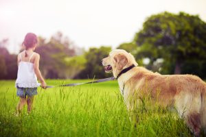 bigstock-Young-girl-with-golden-retriev-19404545